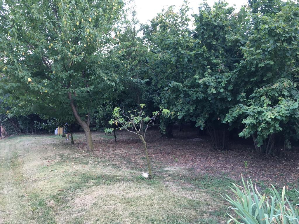 Relax Nel Noccioleto Guest House Novello Bagian luar foto
